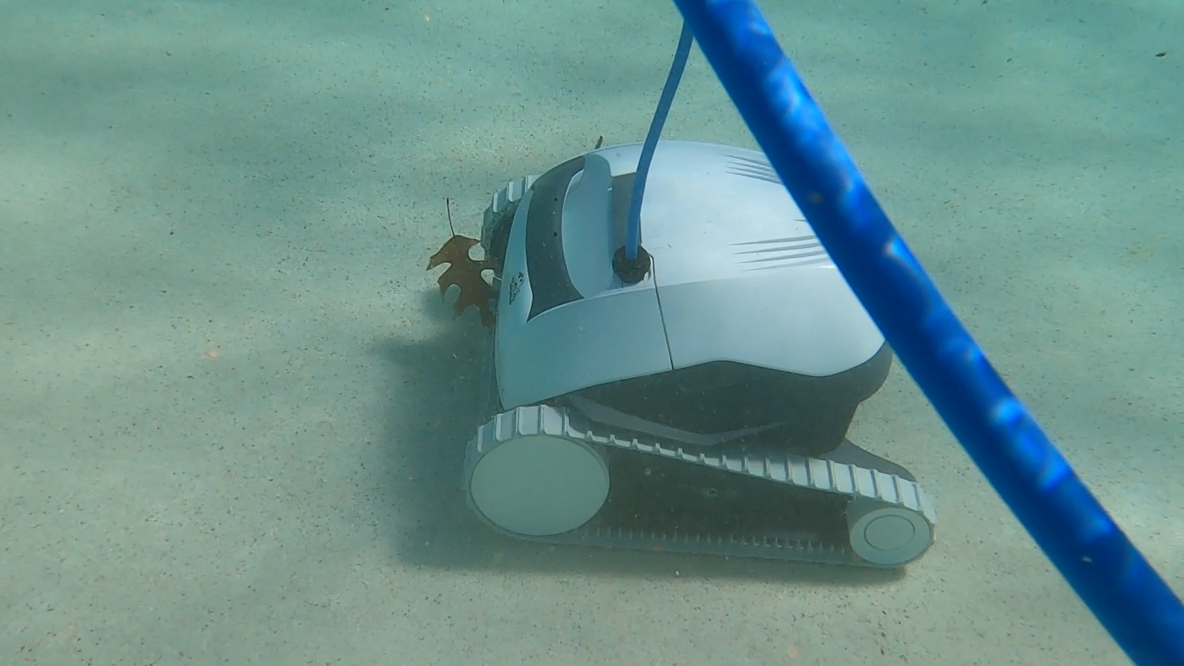 Dolphin E10 Vacuuming Leaves