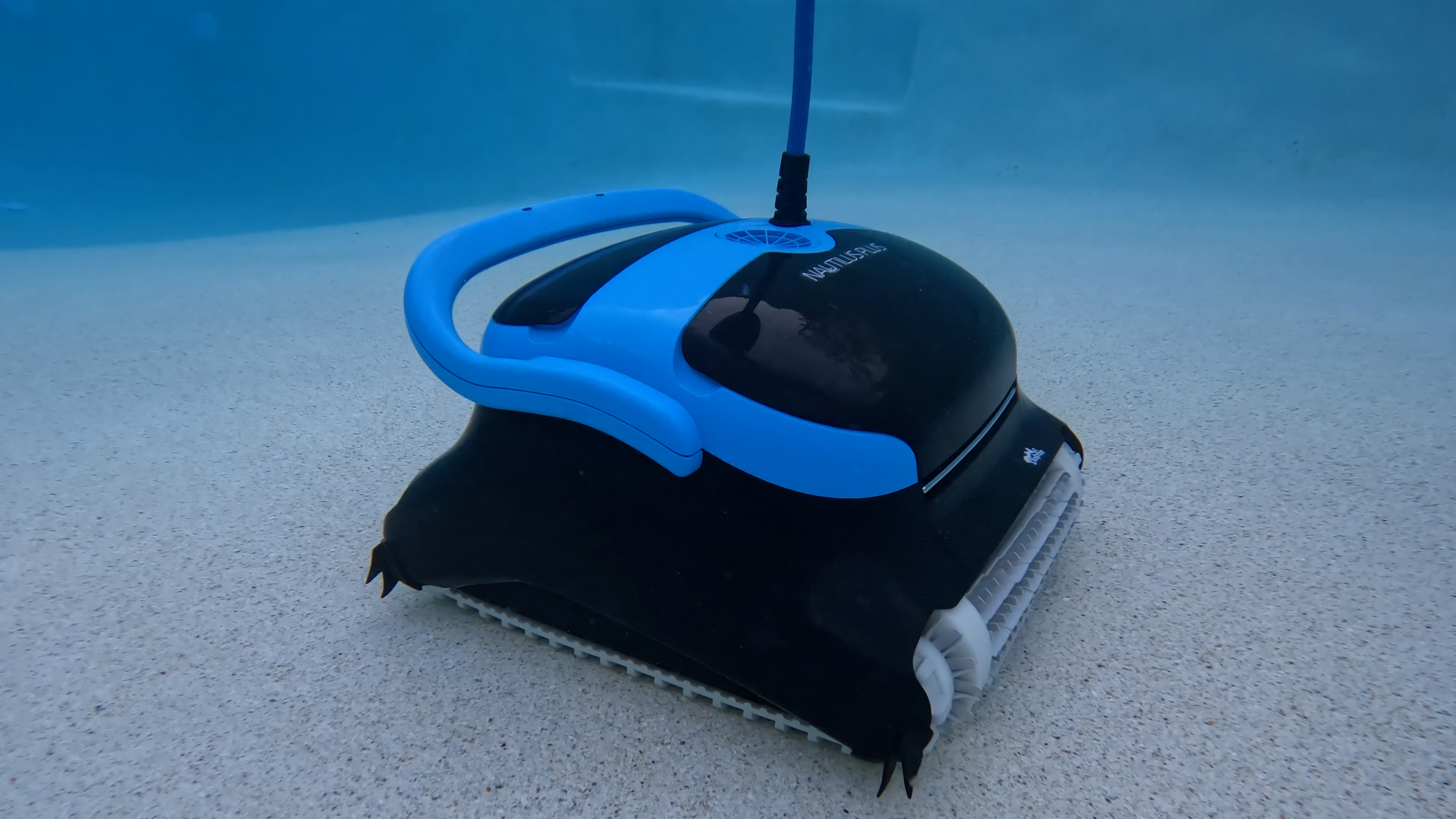 Dolphin Nautilus Ccplus Cleaning Brush Closeup