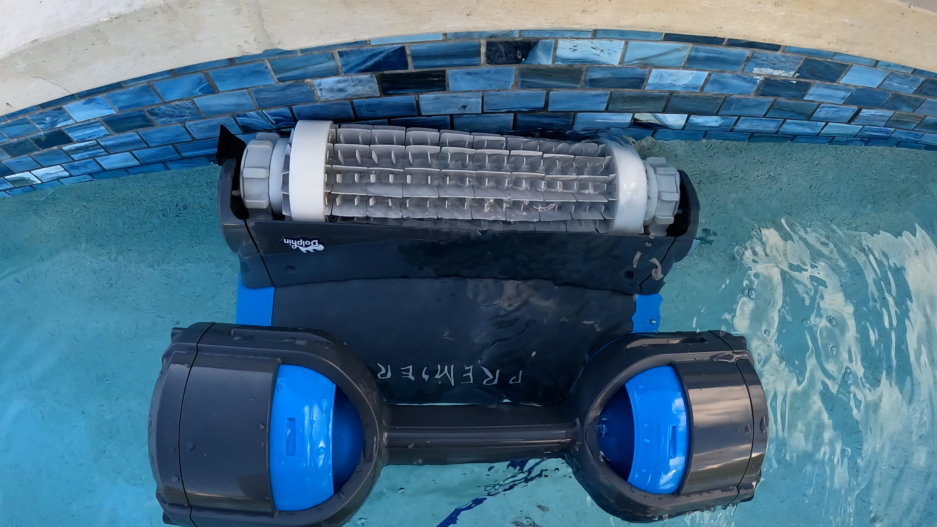 Dolphin Premier Waterline Cleaning Top Down View