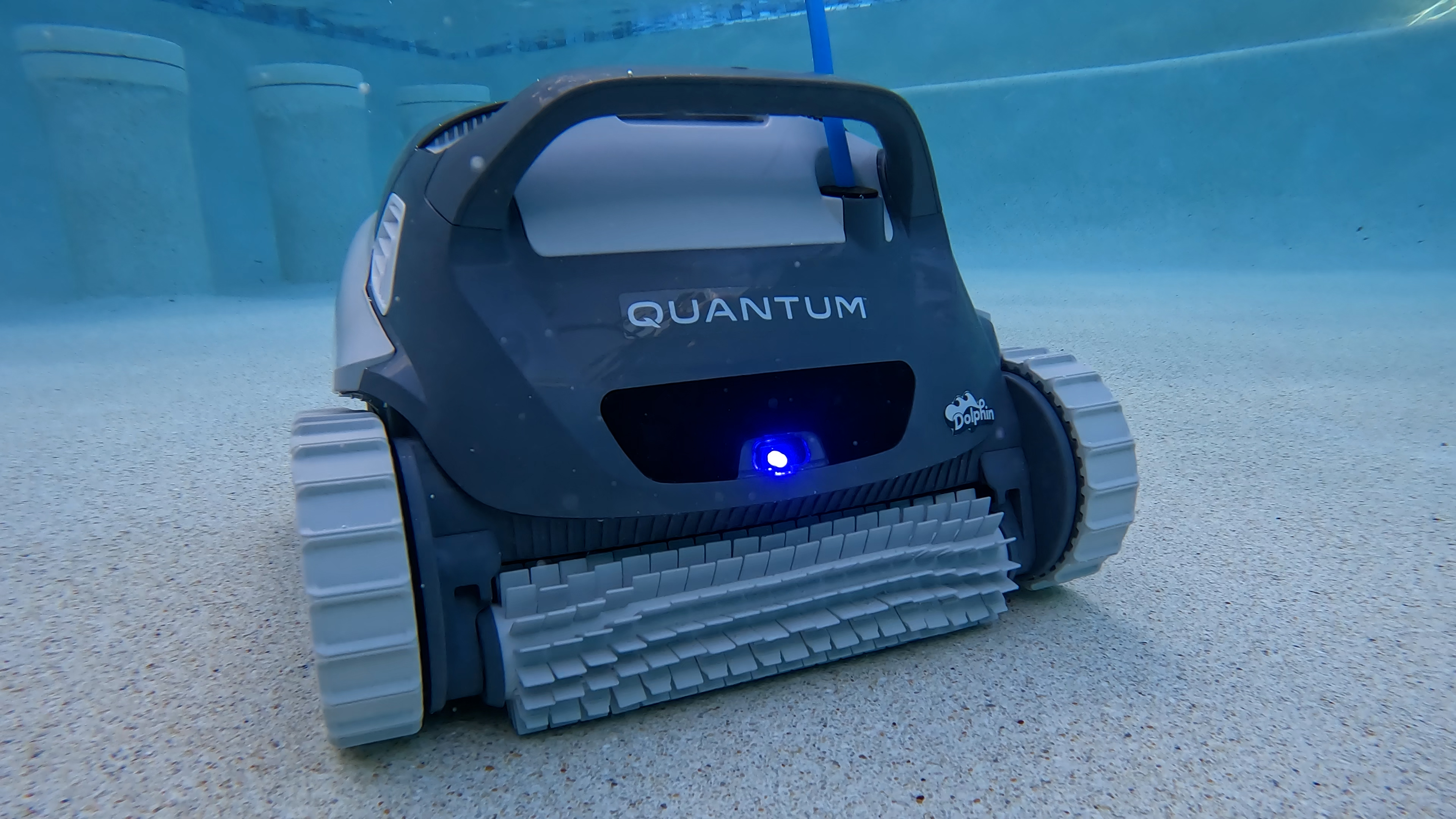 Dolphin Quantum Cleaning Hero