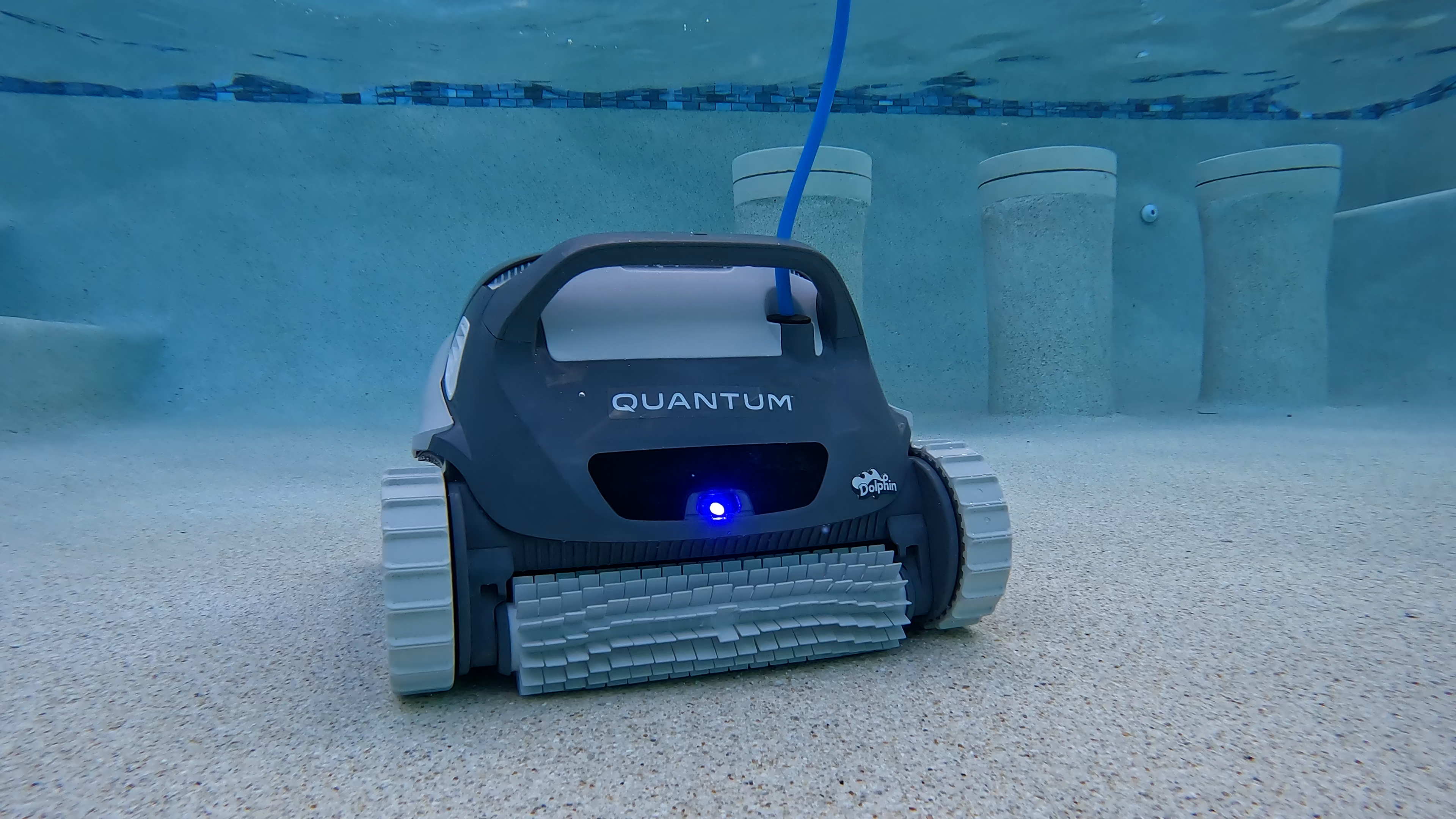 Dolphin Quantum Cleaning Pool