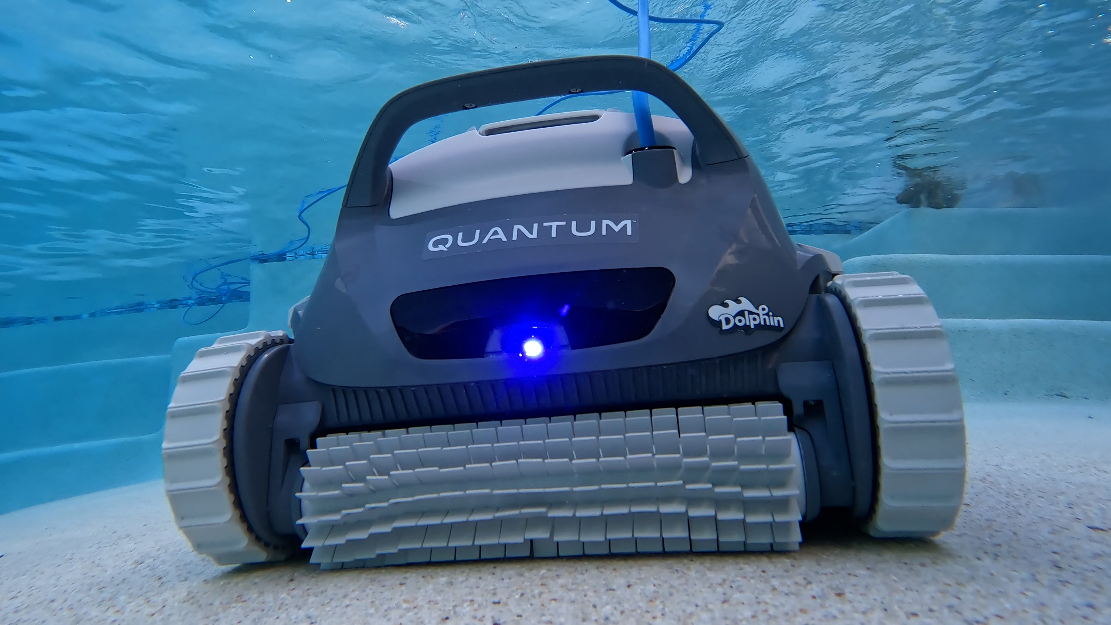 Dolphin Quantum Front View