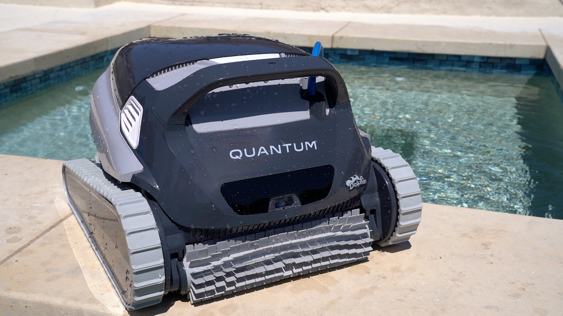 Dolphin Quantum Cleaning Pool