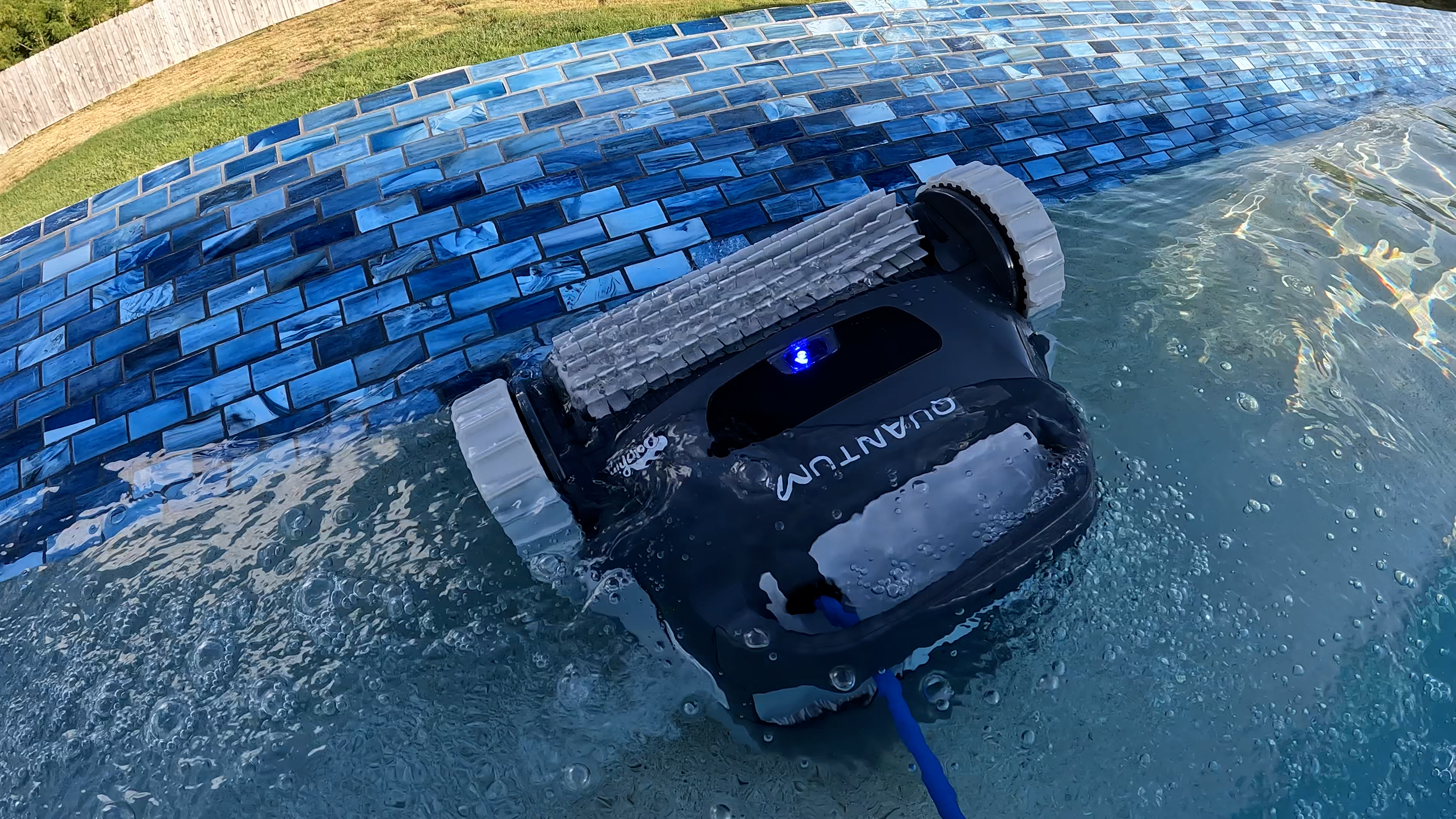 Dolphin Quantum Cleaning Pool