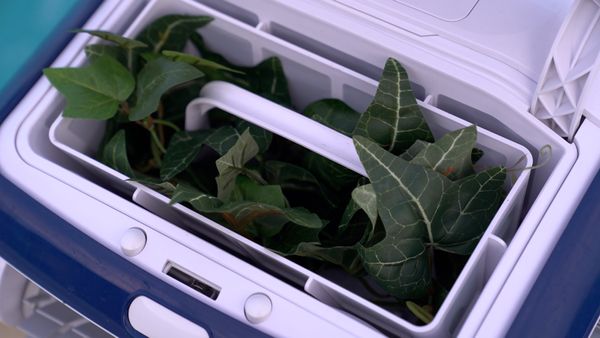 Aquabot REVA basket with Leaves