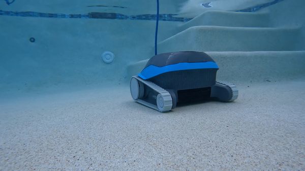 Dolphin Cayman back side view