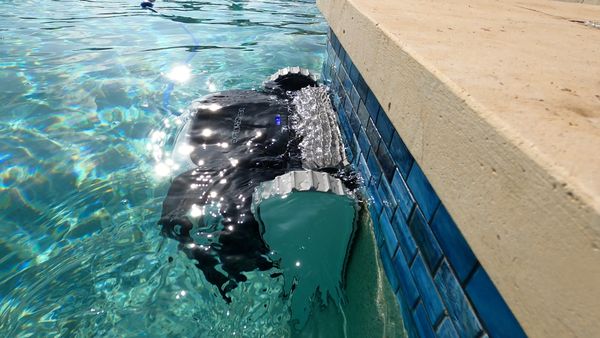 Dolphin Explorer E30 waterline cleaning the pool