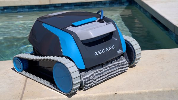 Dolphin Escape poolside with MaxBin