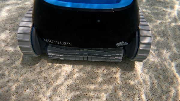 Dolphin Nautilus CC brushing a pool wall