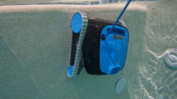 Dolphin Nautilus CC climbing a pool wall