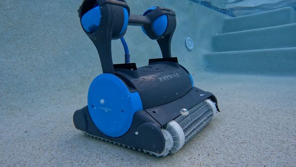 Dolphin Premier working across the floor of an in-ground pool