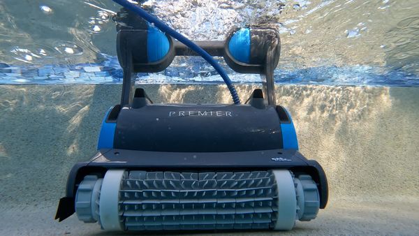 Dolphin Premier pool robot