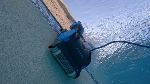 Dolphin Premier Waterline Cleaning