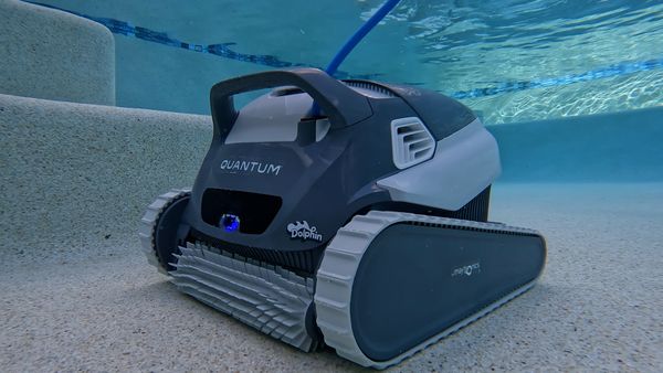 Dolphin Quantum cleaning the pool