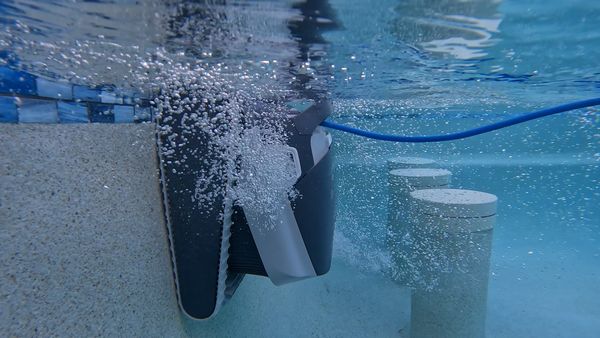 Dolphin Quantum cleaning the waterline with PowerJet