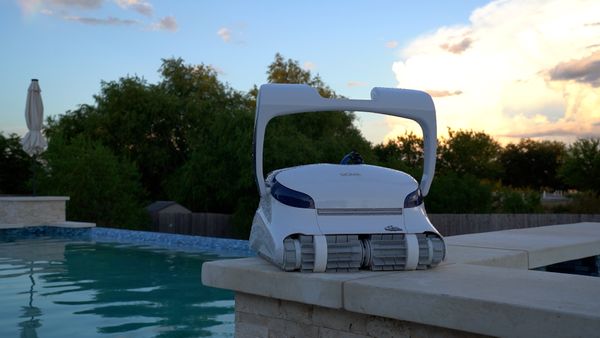 Dolphin Sigma resting on a sunny pool ledge