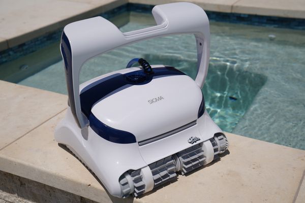 Dolphin Sigma on a pool ledge with sunny water behind it