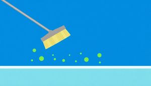 Master Pool Maintenance: Choose the Right Brush to Combat Algae