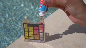 Pool Maintenance Essentials